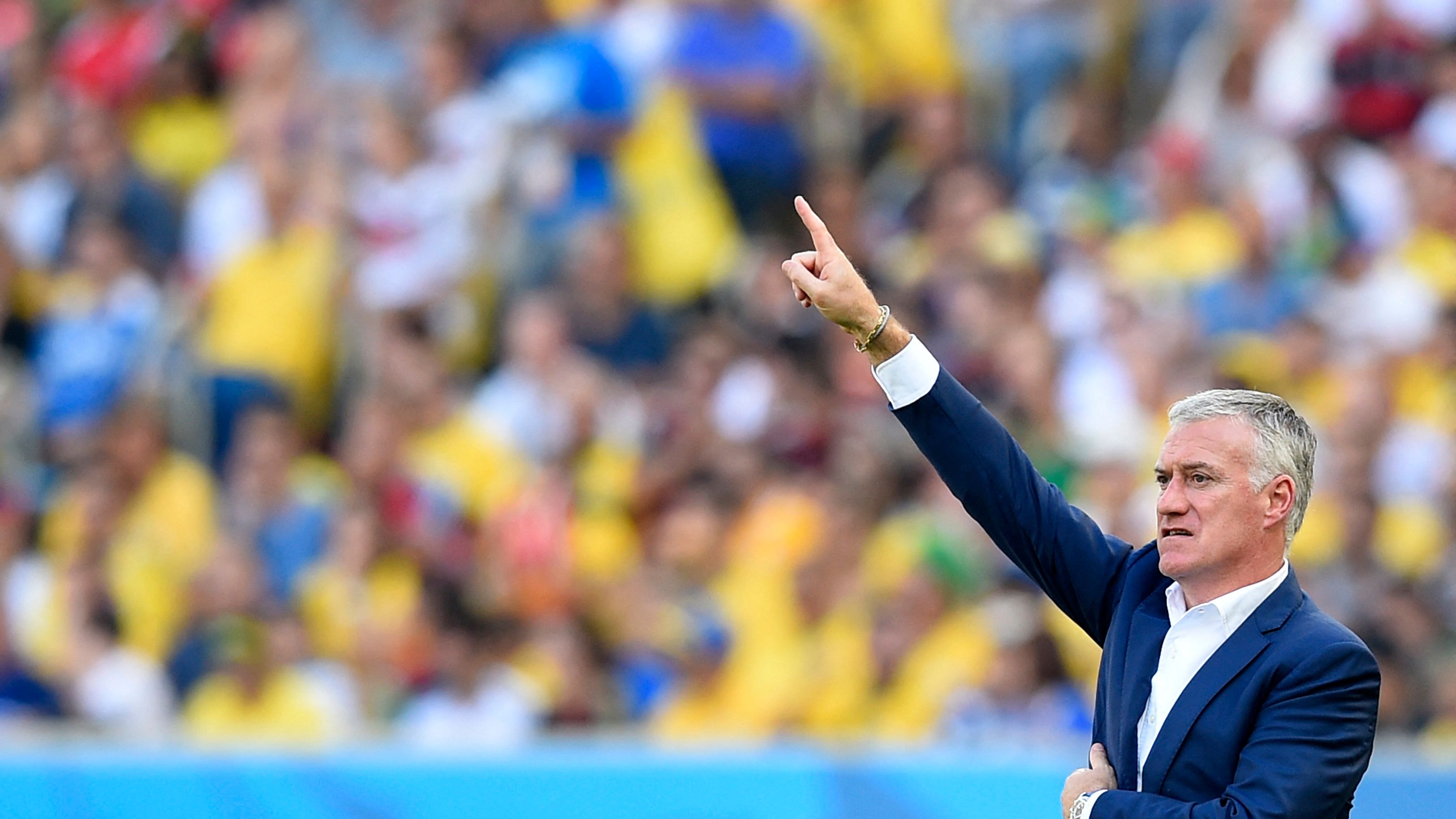 Deschamps World Cup 2014