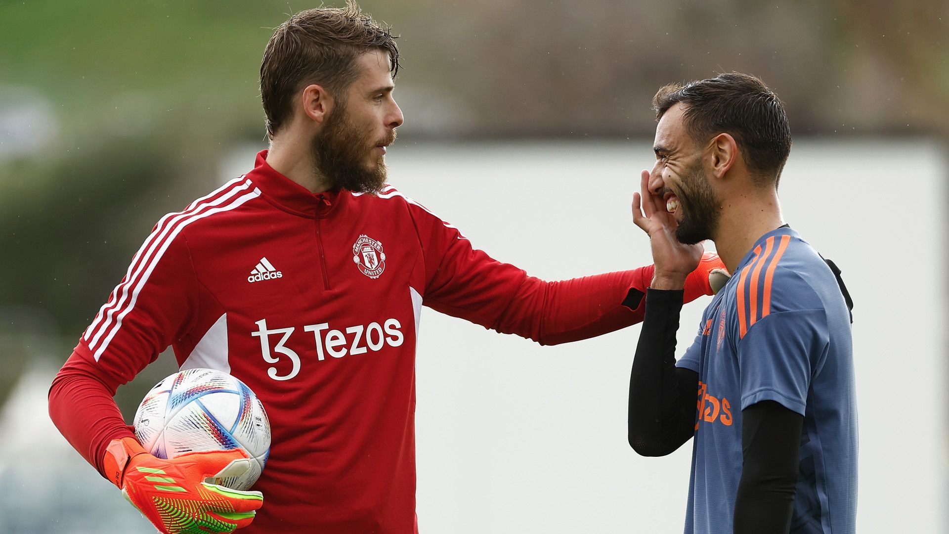 Bruno Fernandes De Gea