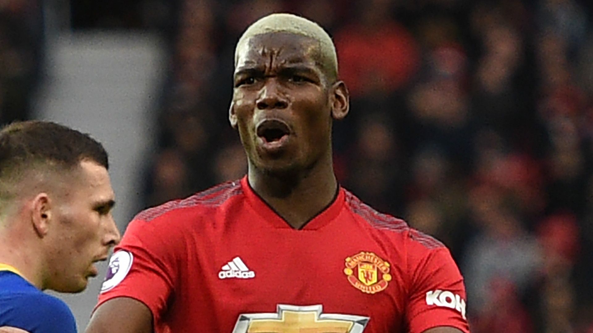 Paul Pogba Manchester United 2018-19