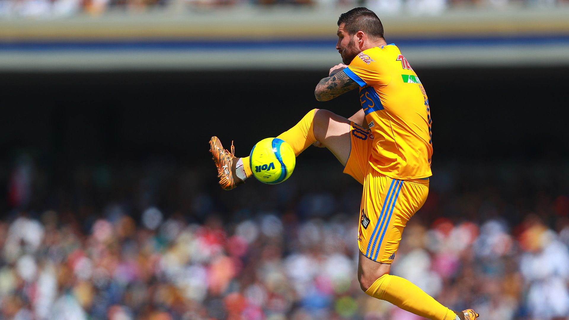 Gignac Tigres vs Pumas 2018