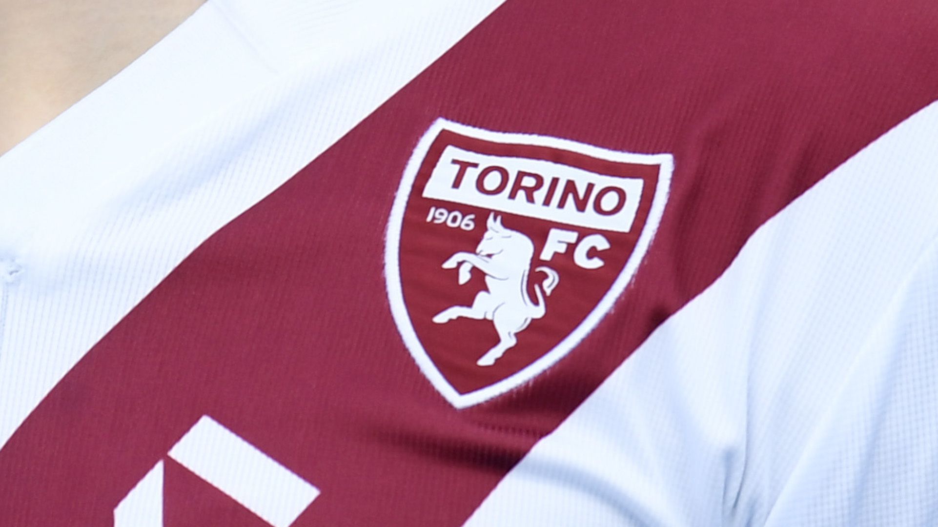Torino logo