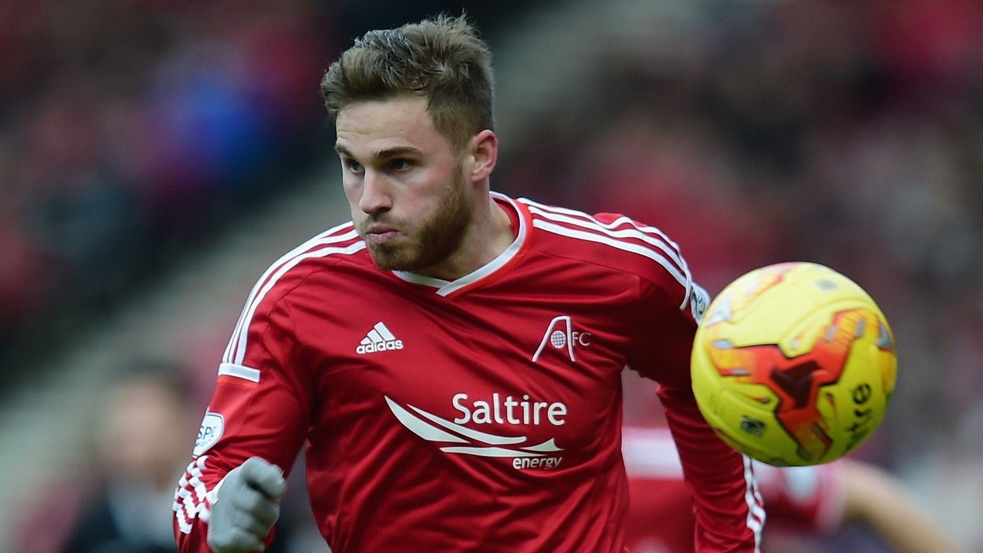 David Goodwillie