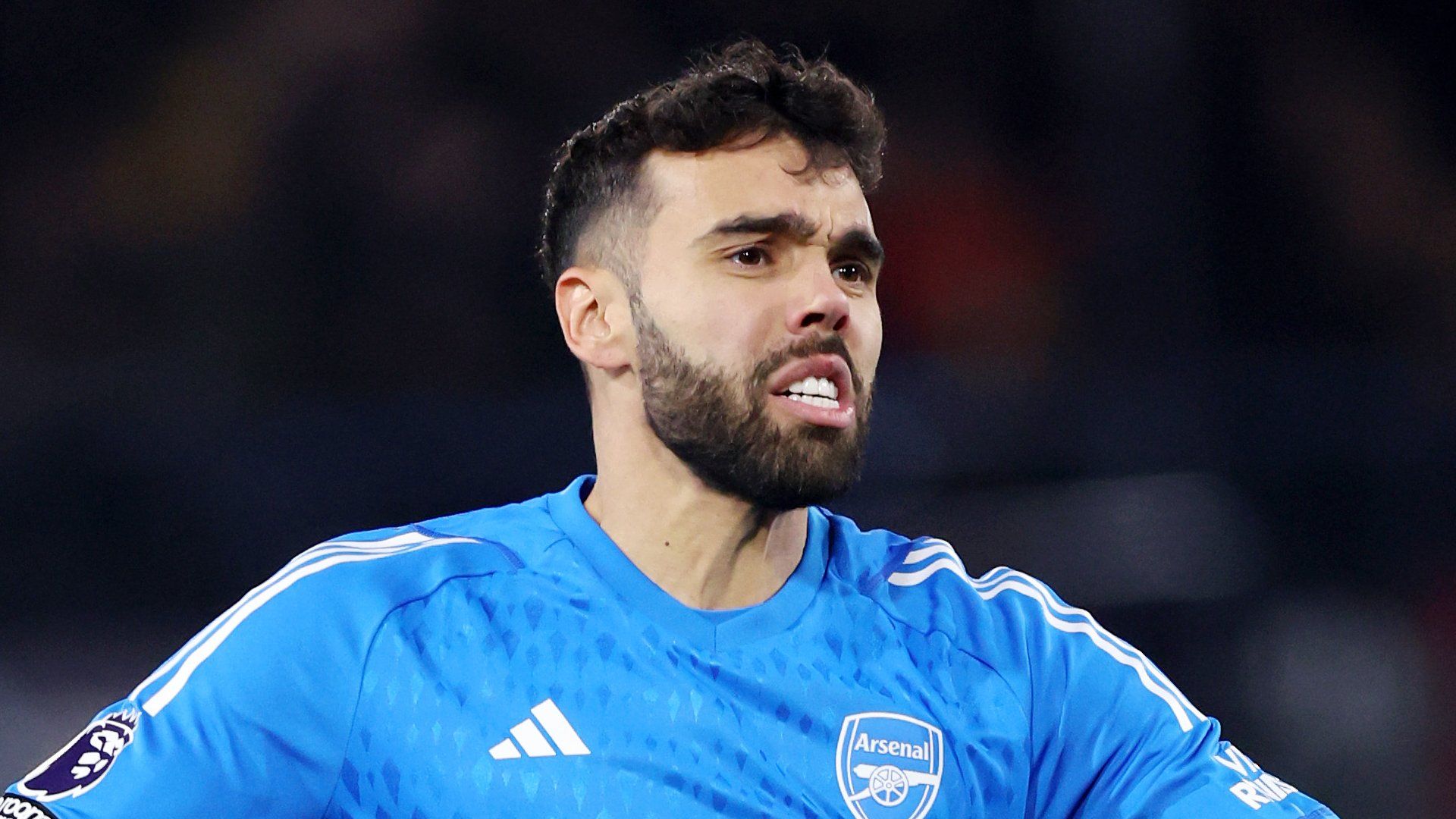 David Raya Arsenal 2023-24