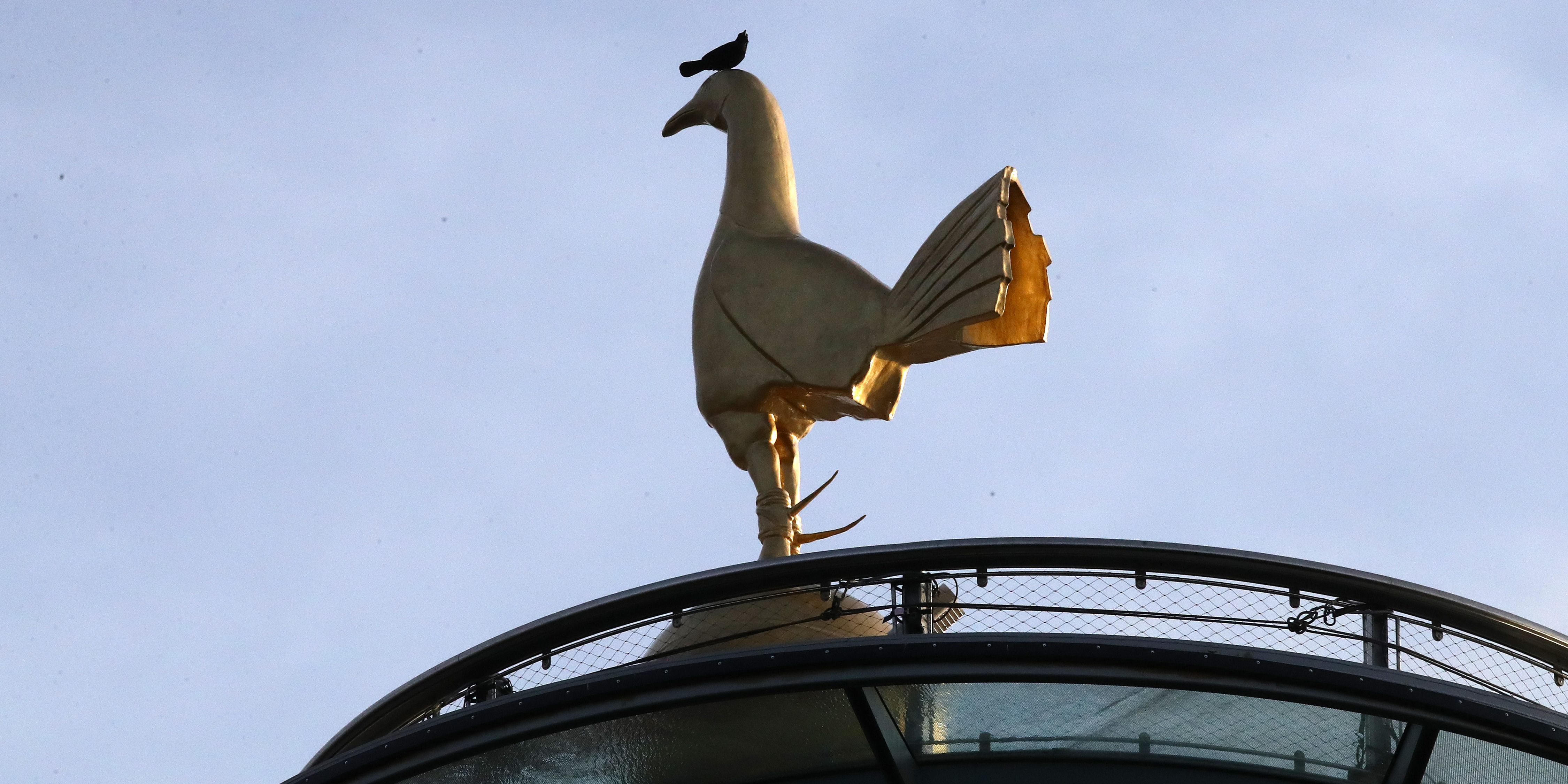 High Impact Desktop | Tottenham Logo