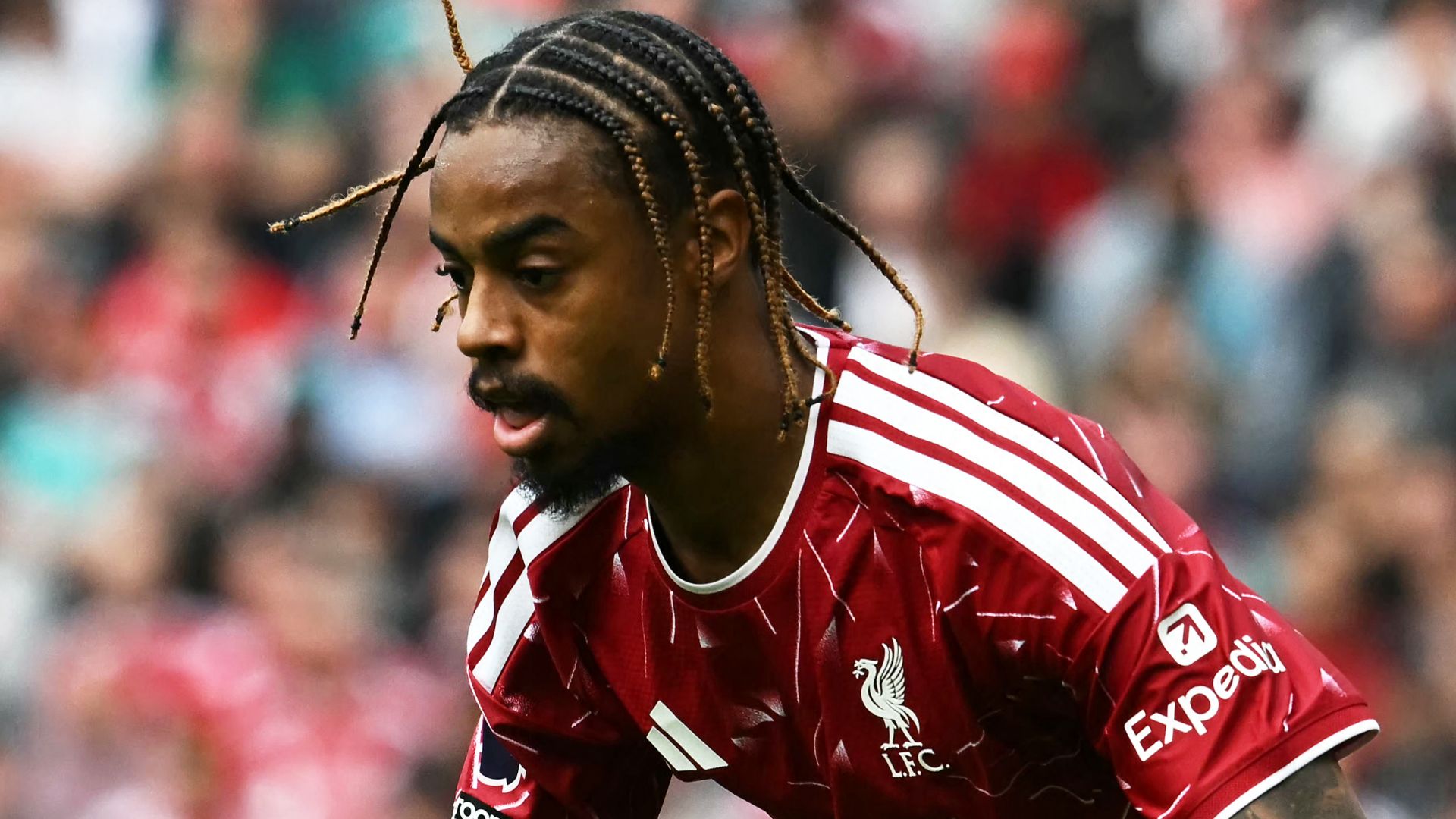 Bradley Barcola Liverpool 2026-27