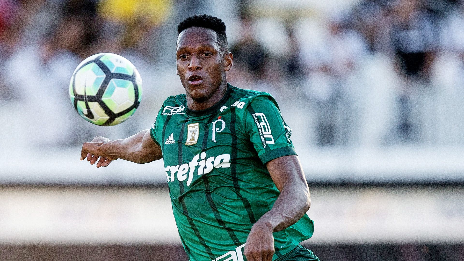 Yerry Mina Ponte Preta Palmeiras Brasileirao Serie A 25062017