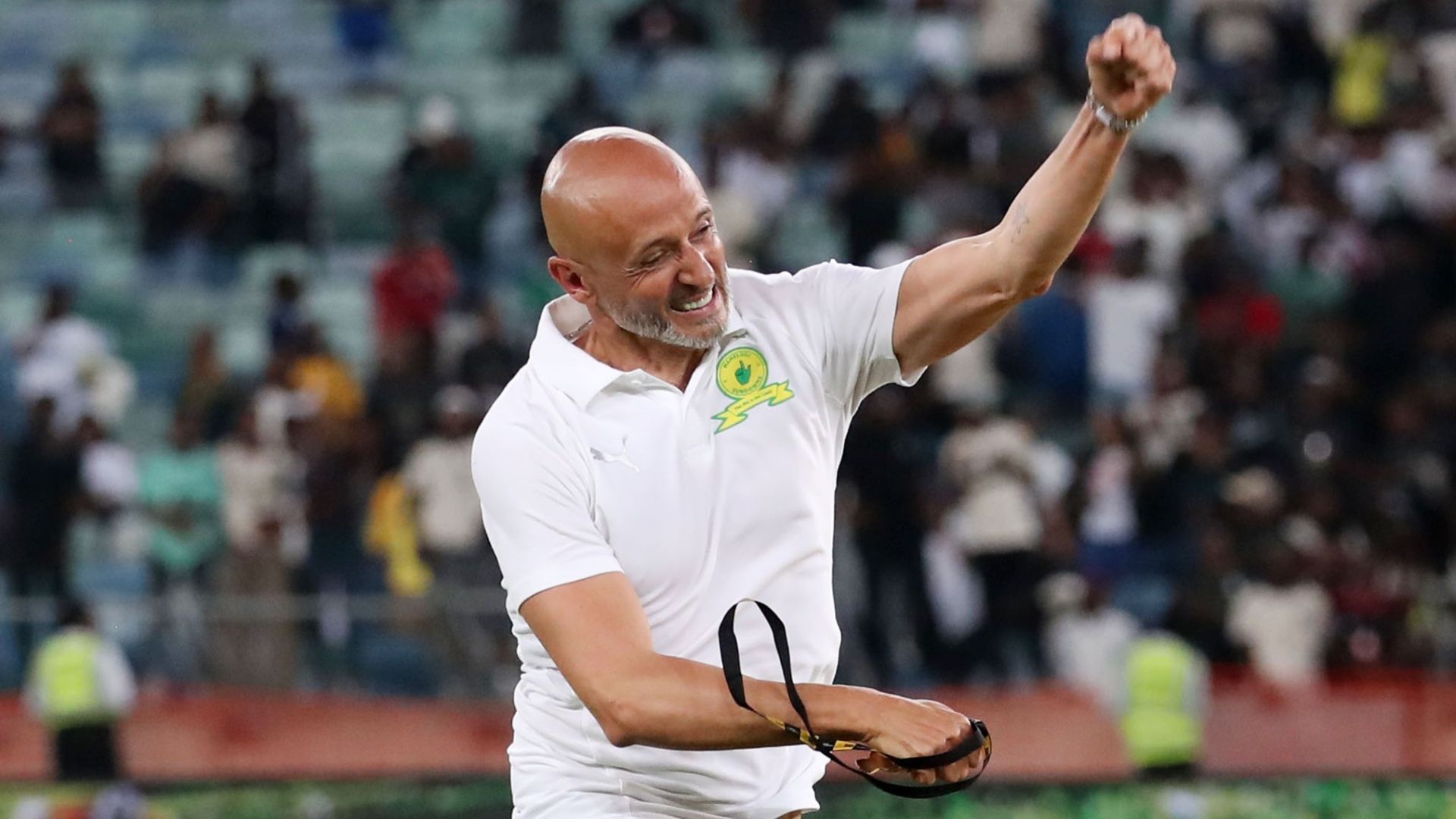 Miguel Cardoso Mamelodi Sundowns