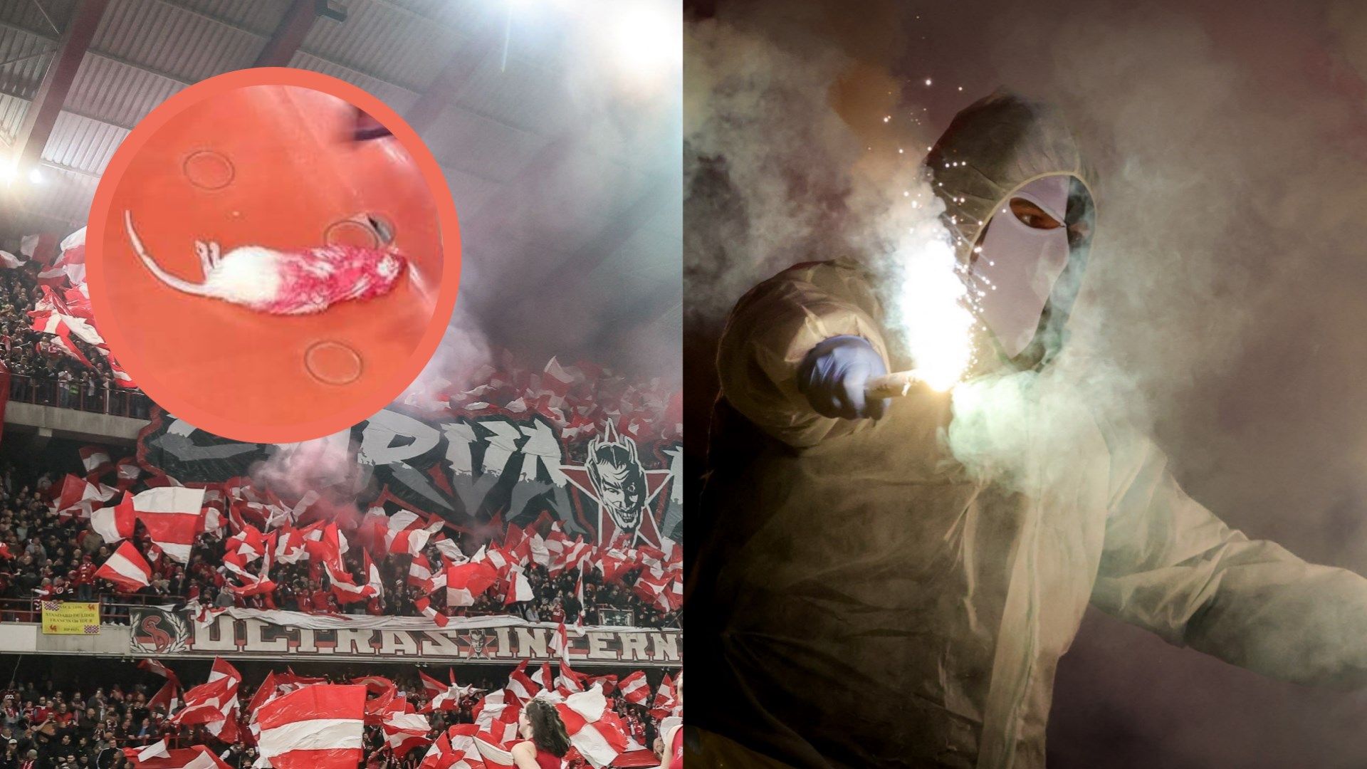 Standard Liegi Charleroi