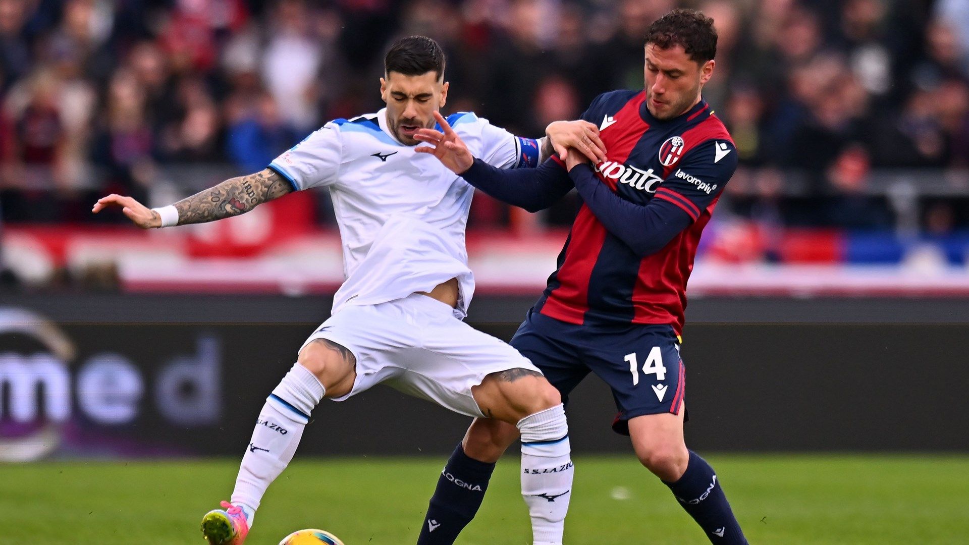 Calabria Bologna Lazio