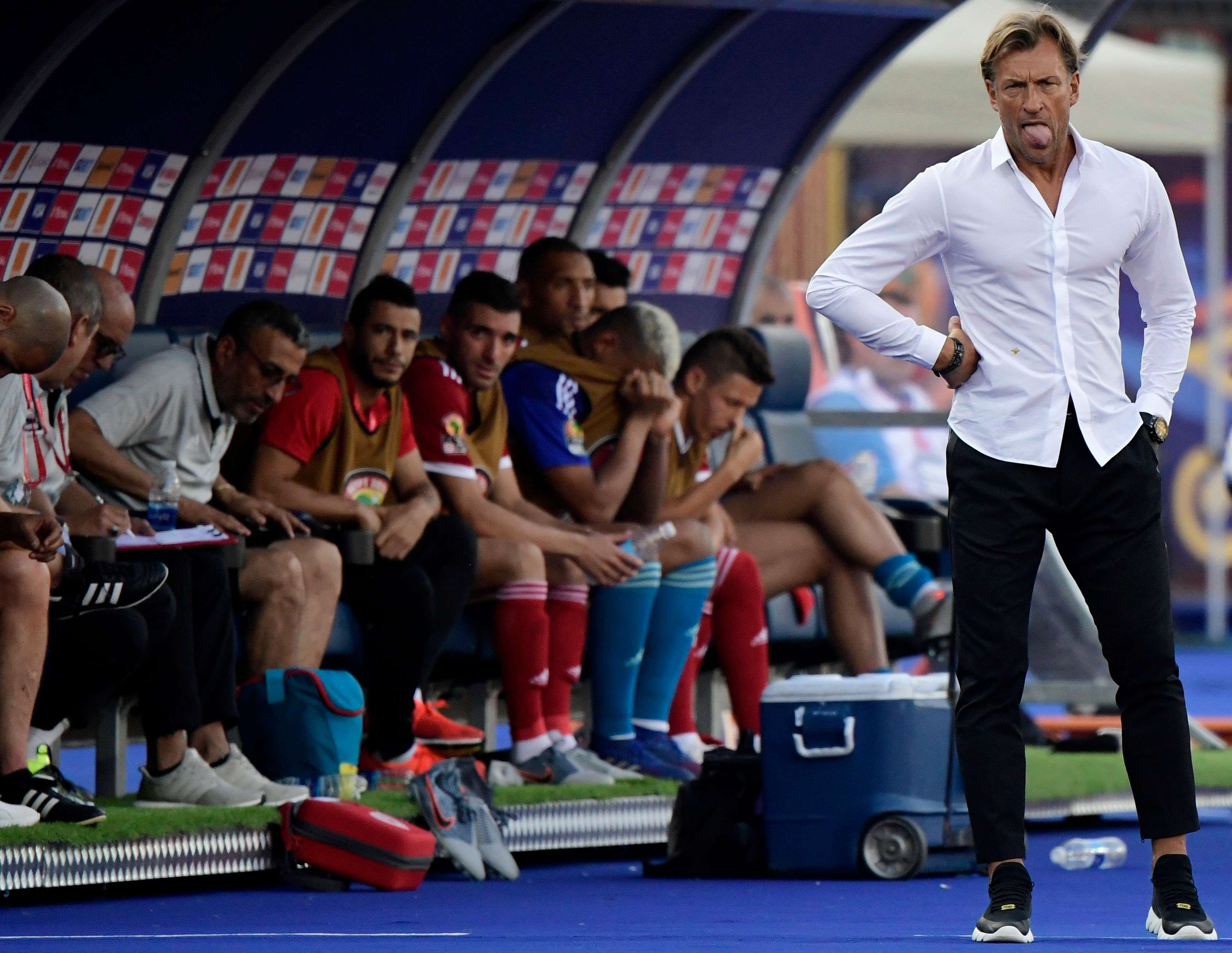 هيرفي رينارد