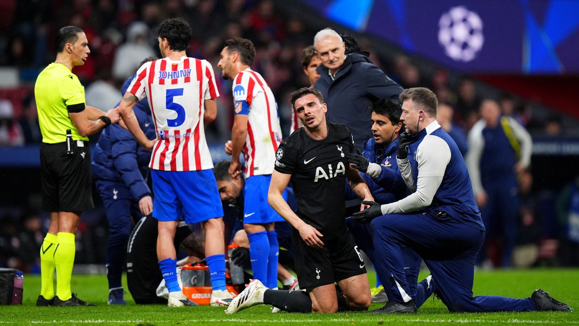 Joao Palhinha Tottenham