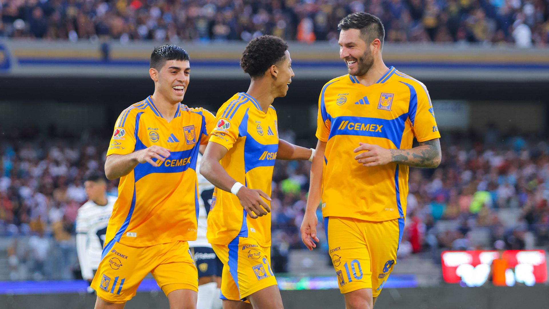 Tigres celebración Apertura 2024 Liga MX