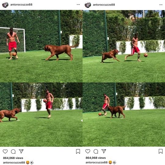 메시와 그의 반려견이 함께 축구하는 모습. 사진=메시 아내 인스타그램 영상 캡처