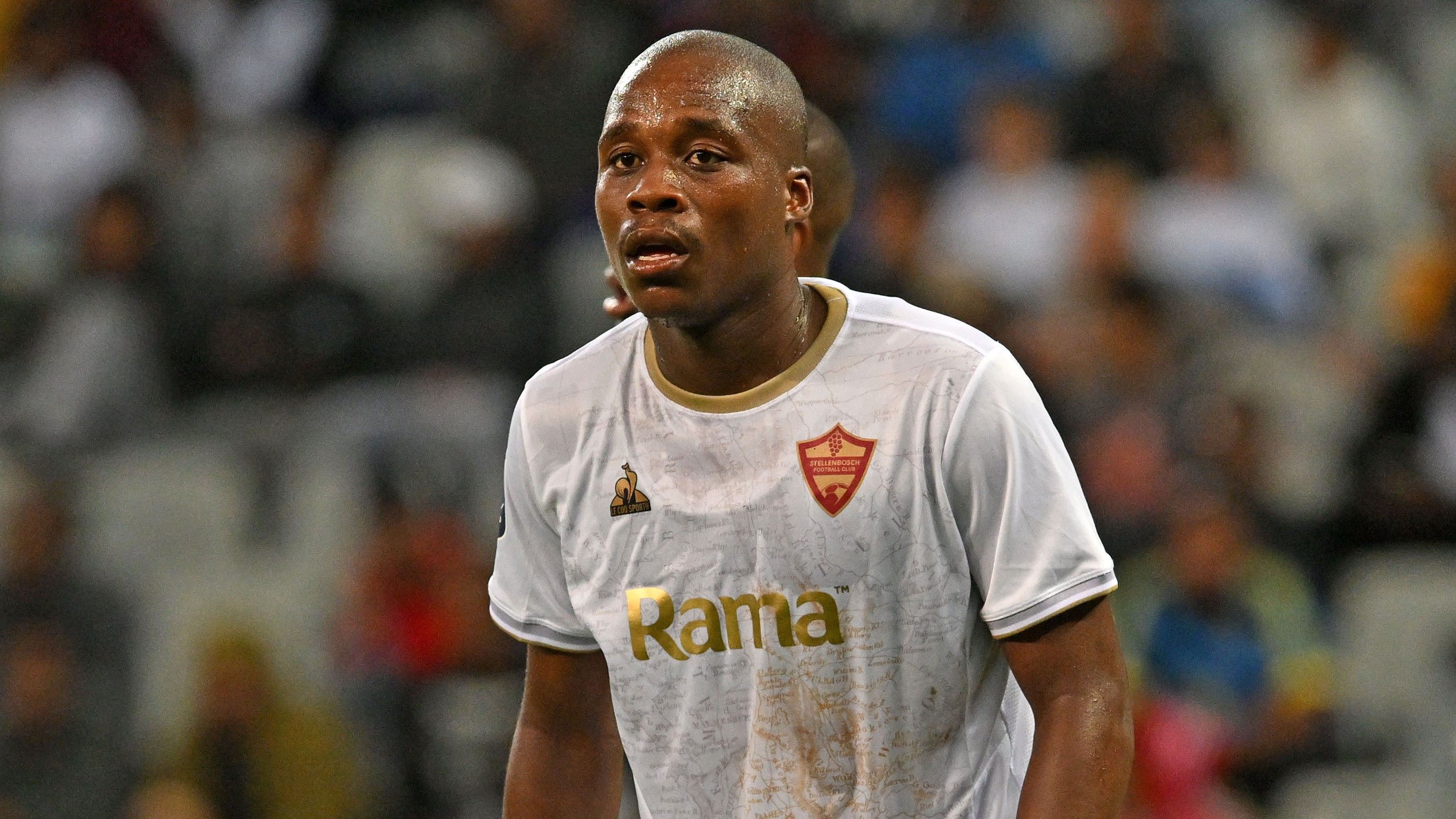 Darrel Matsheke, Stellenbosch FC