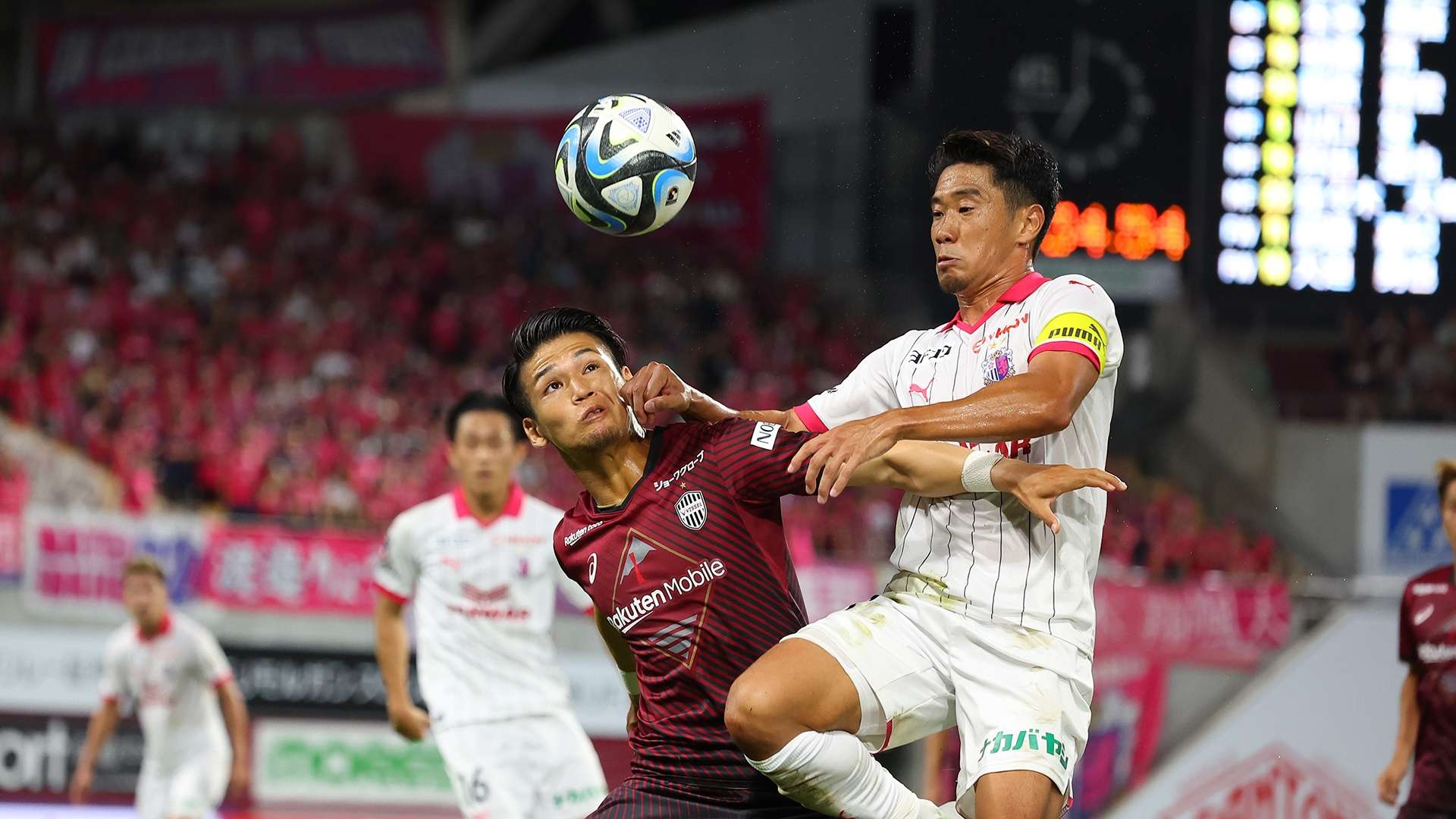 20230923_Kobe_Cerezo1