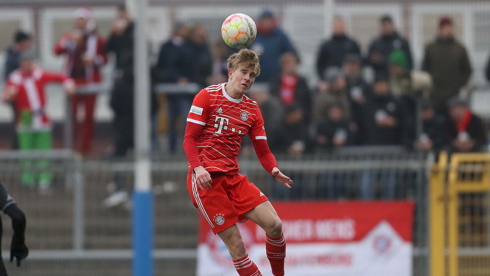 GER ONLY David Herold FC Bayern