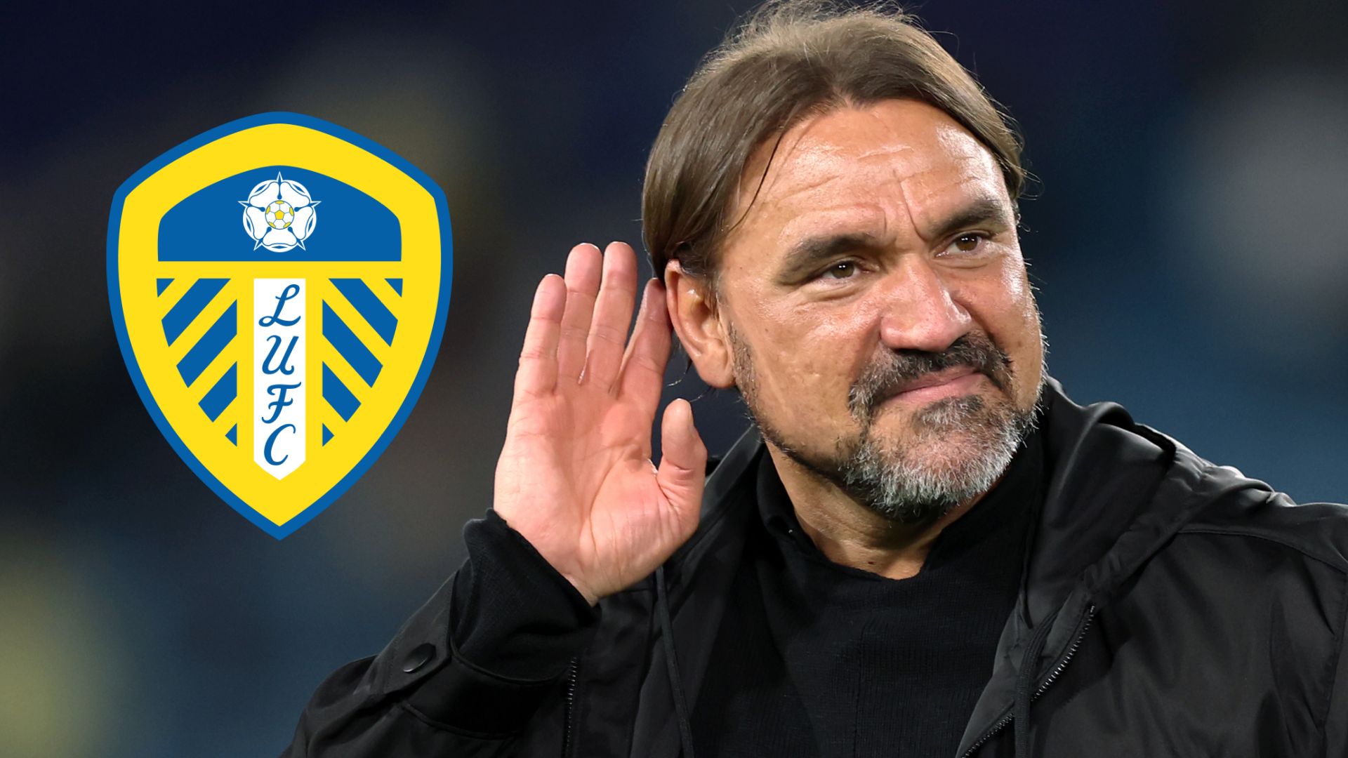 Daniel Farke Leeds