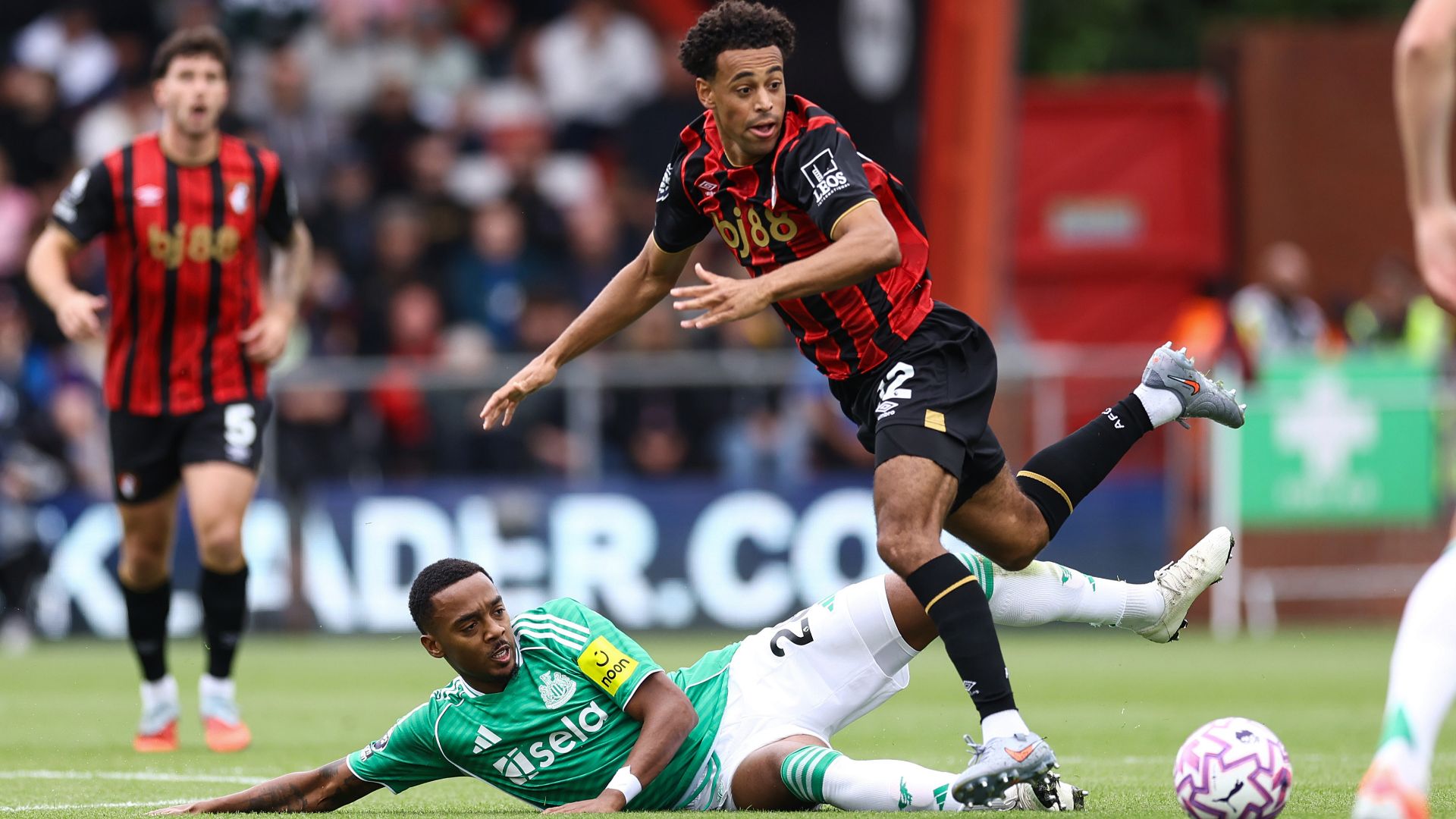 Tyler Adams Bournemouth