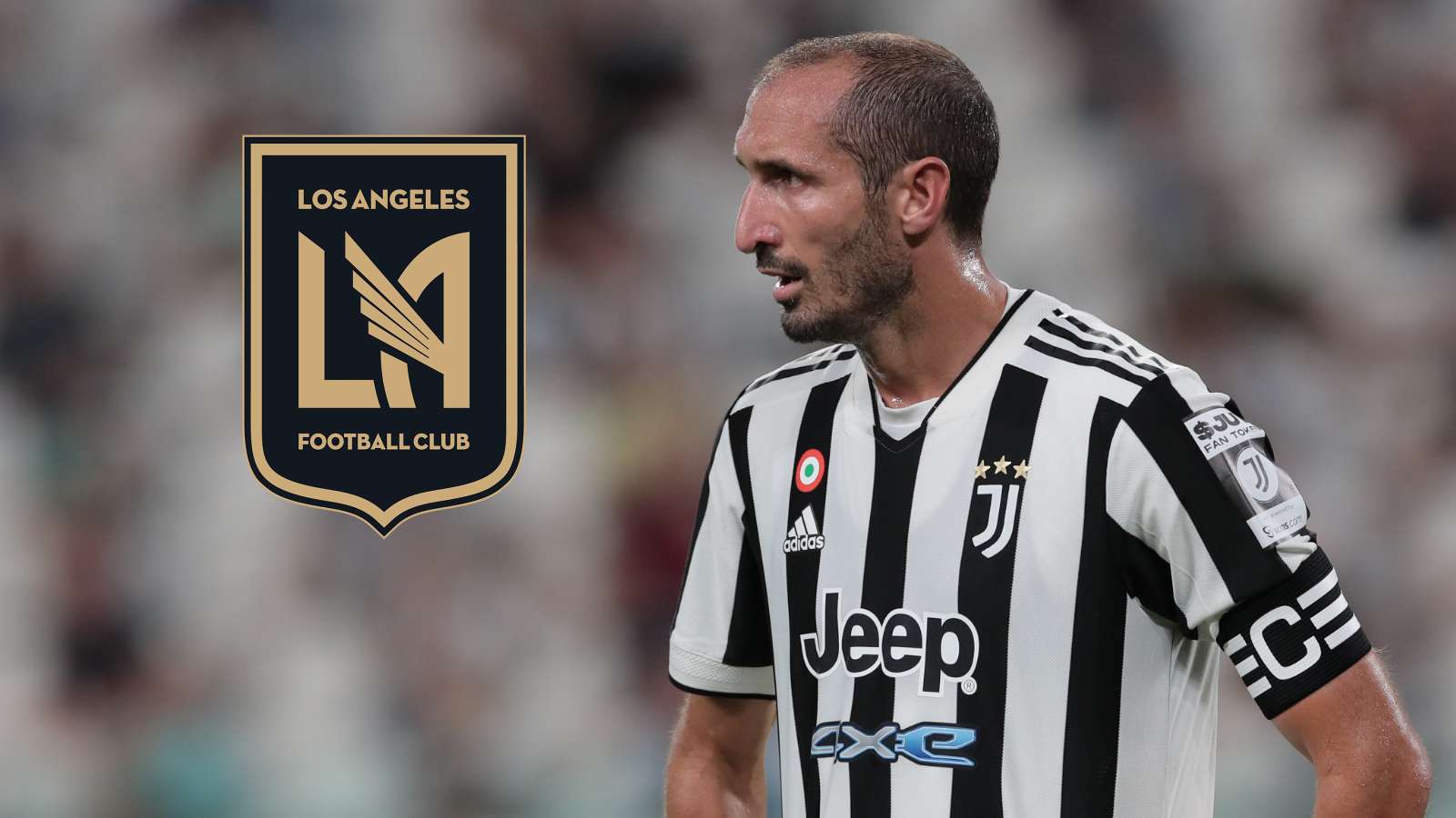 Giorgio Chiellini Los Angeles FC MLS Mercato