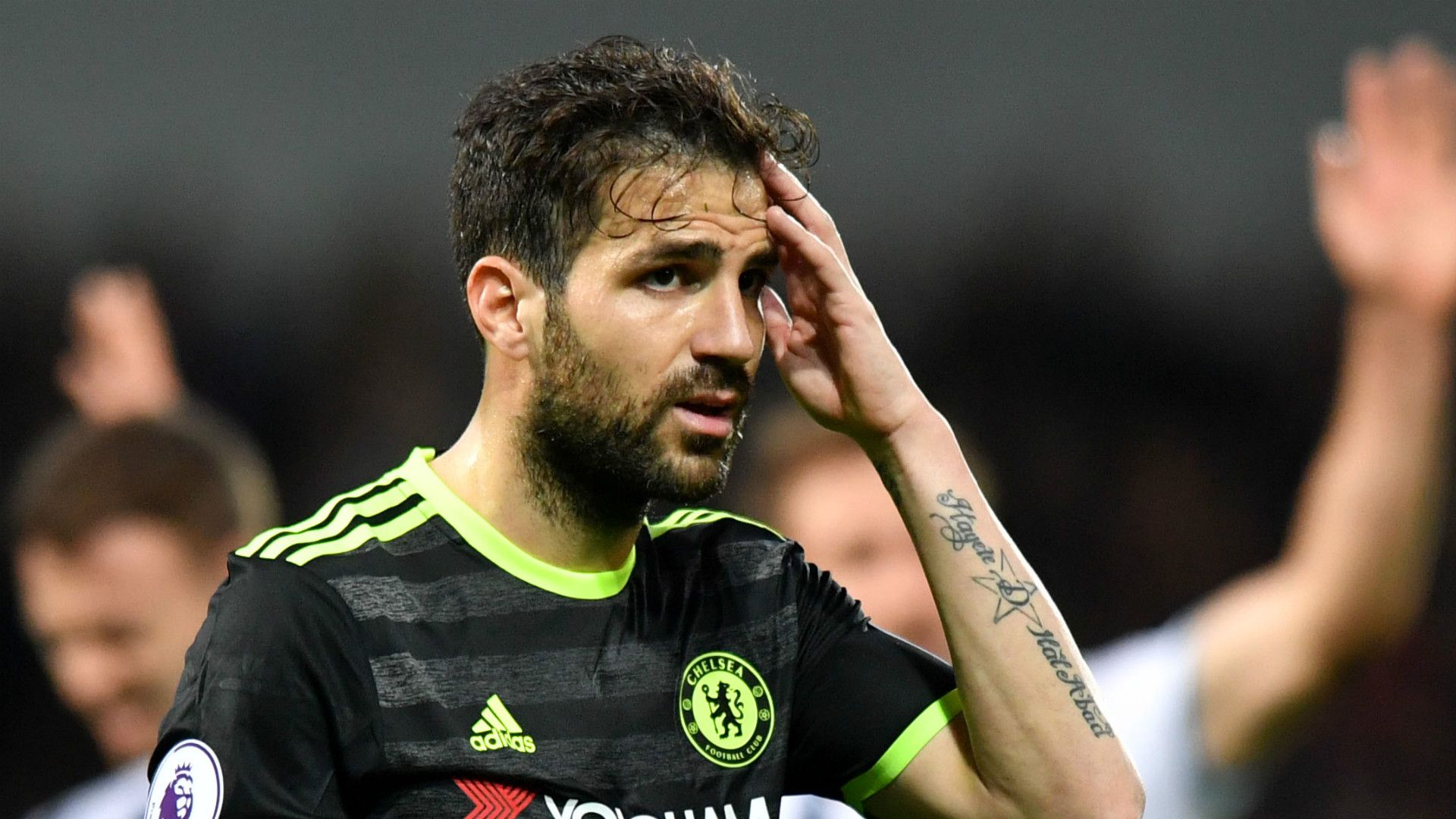 Cesc Fabregas Chelsea