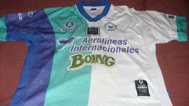 Camisa Colibries 2002