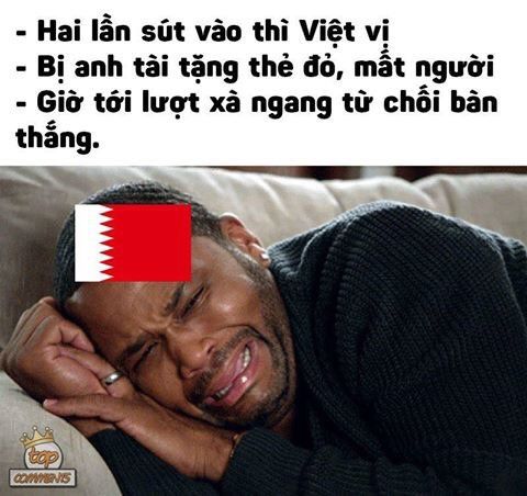 Ảnh chế Việt Nam