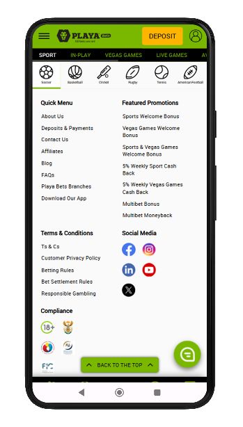 Playa Bets download app 1