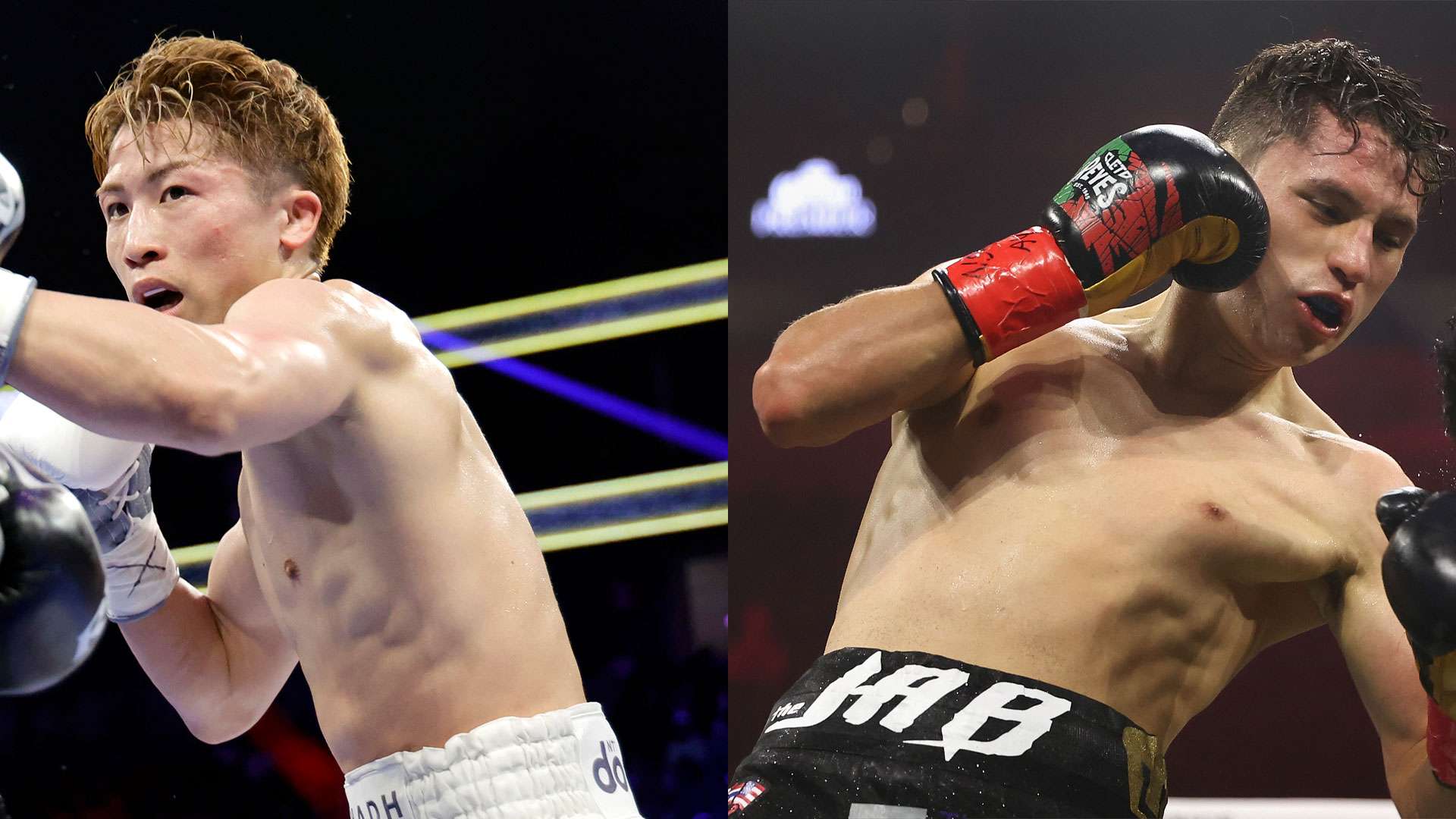 naoya inoue alan picasso