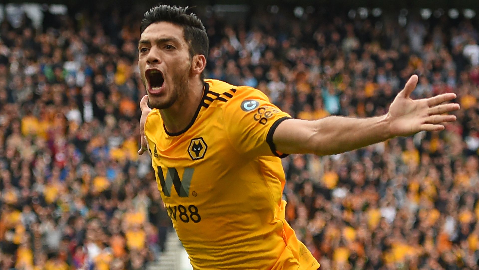 Raul Jimenez Wolves