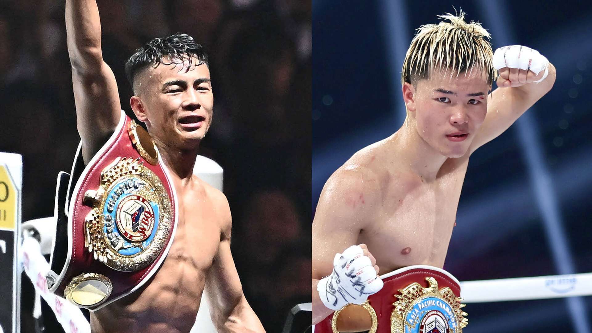 nasukawatenshin takeiyoshiki