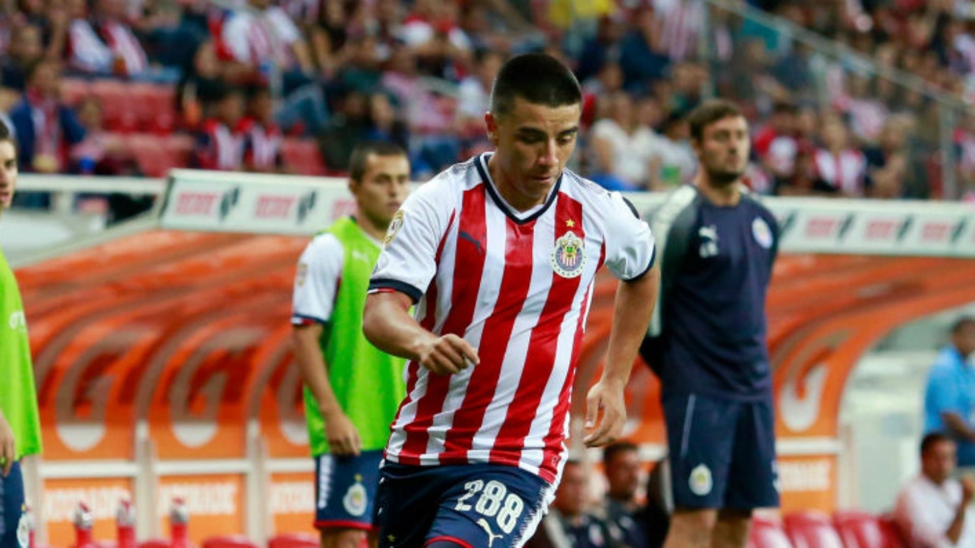 Fernando Beltrán
