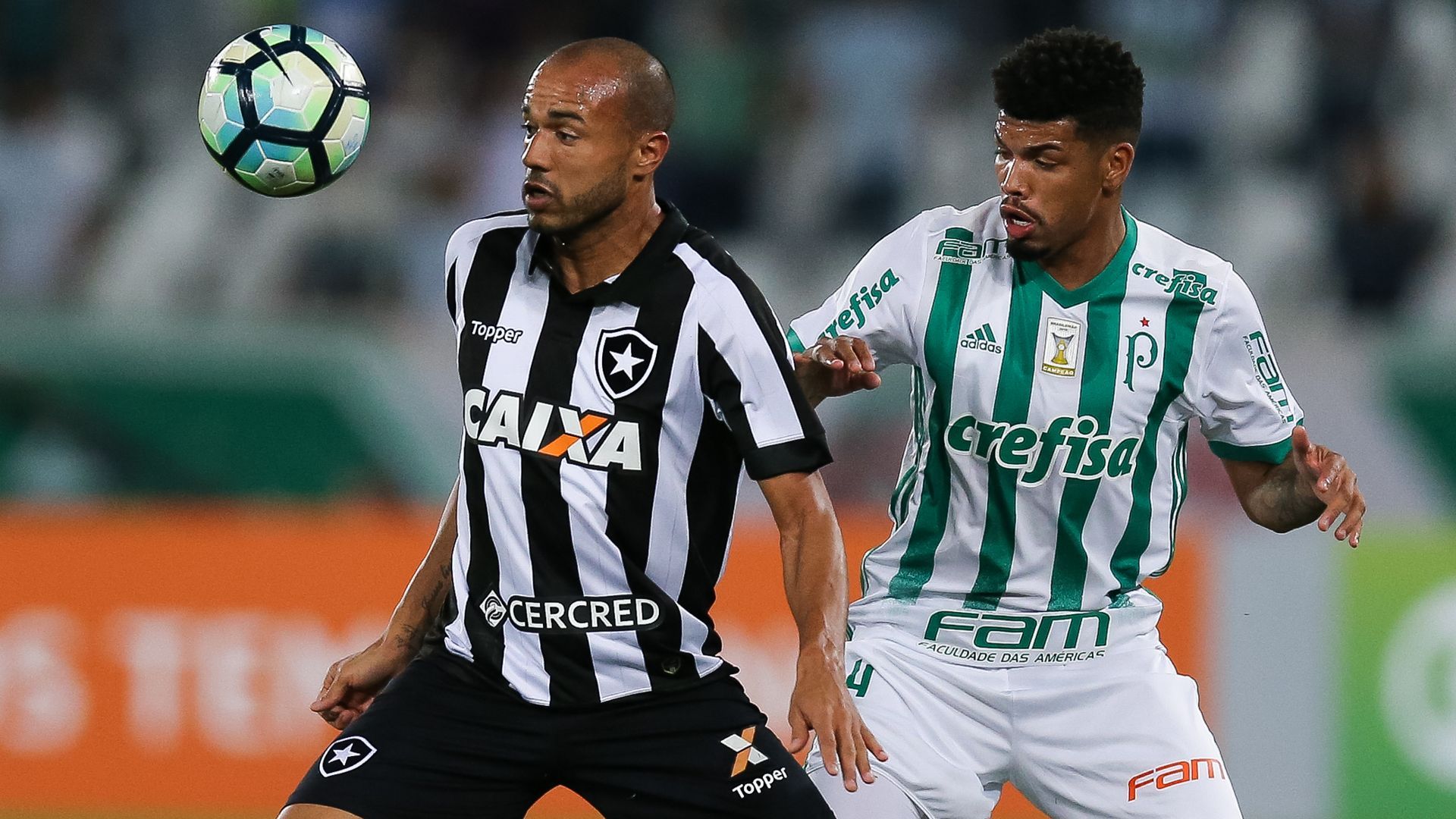Roger Juninho Botafogo Palmeiras Brasileirao Serie A 02082017