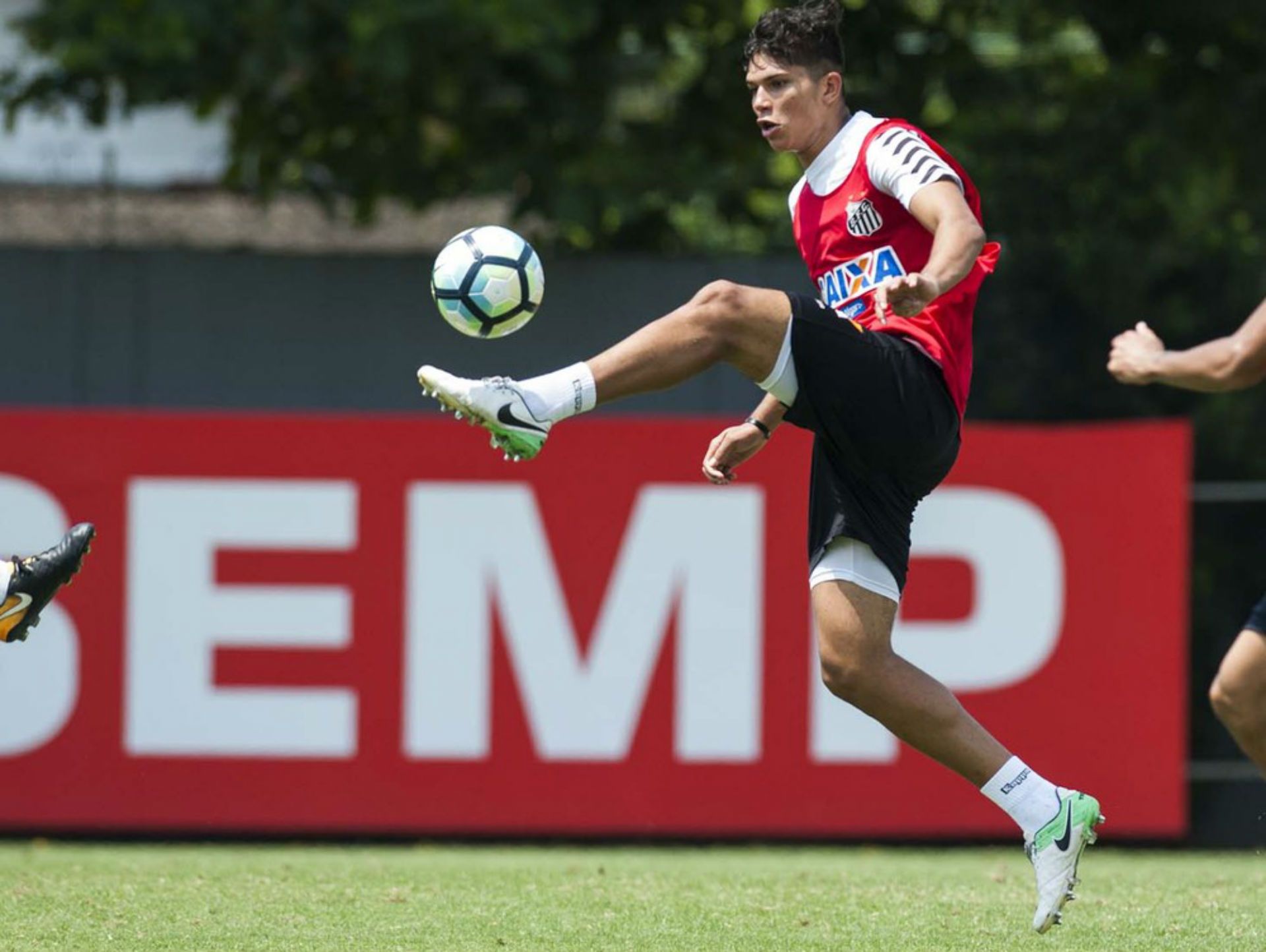Matheus Guedes