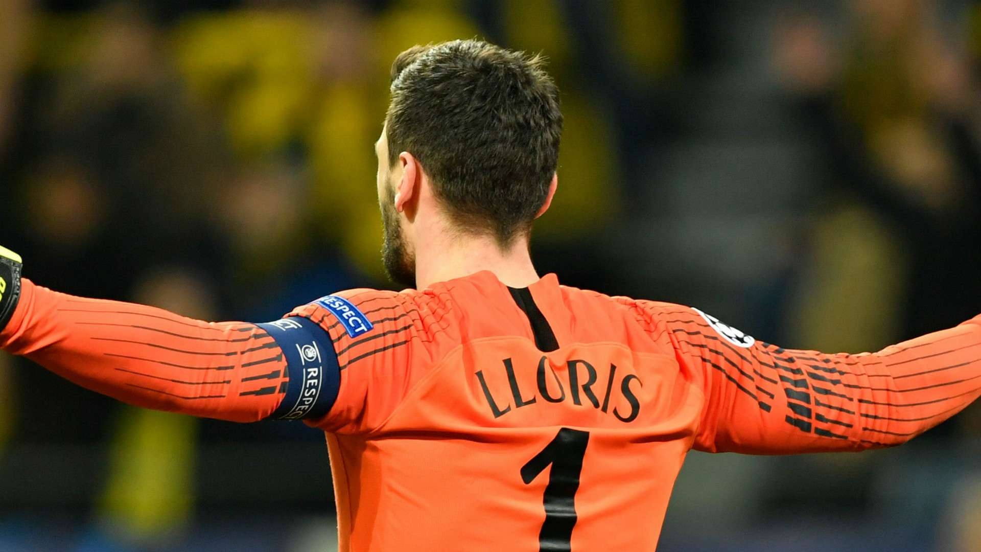 Hugo Lloris Tottenham 2018-19