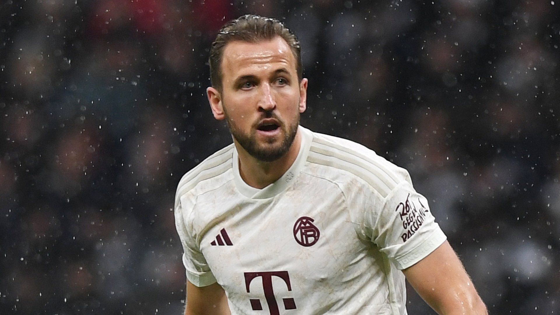 Harry Kane Bayern Munich 2023-24