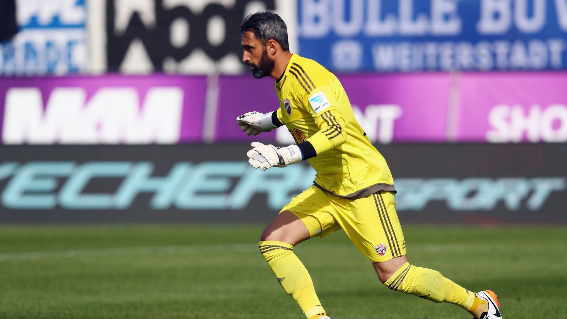 ramazan ozcan 06202016