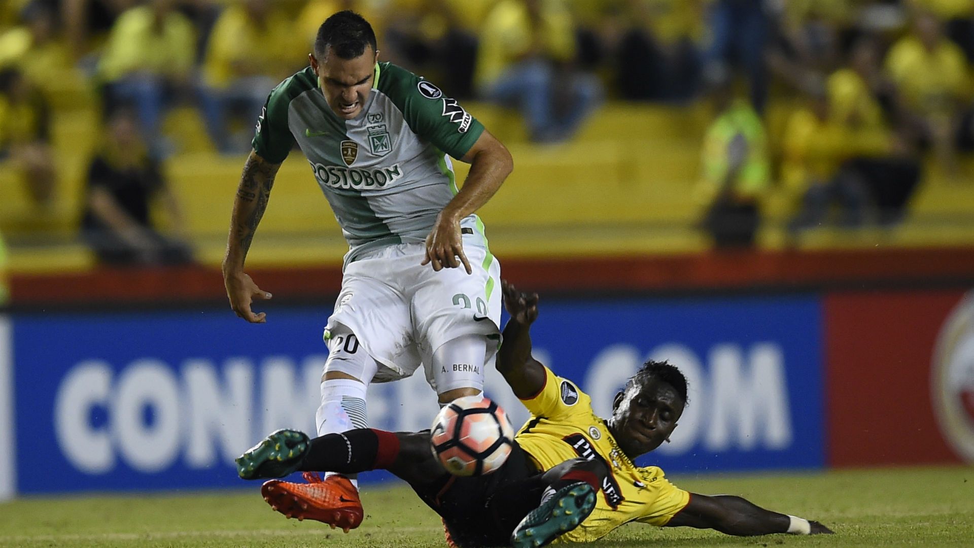 Alejandro Bernal Atlético Nacional Copa Libertadores