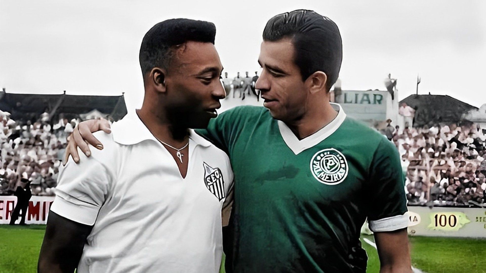Pelé Vavá Santos Palmeiras