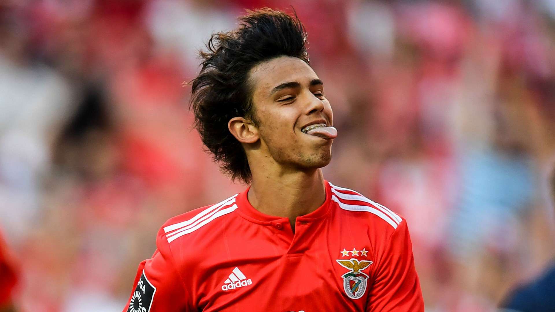 Joao Felix Benfica 2018-19