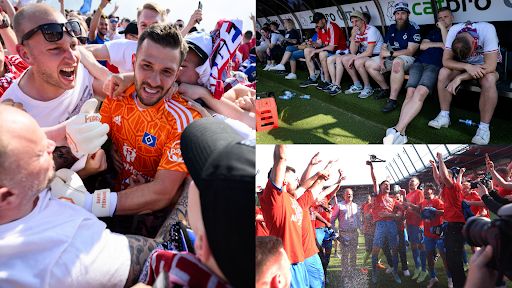 Hamburg prematurely celebrate promotion before it's taken away