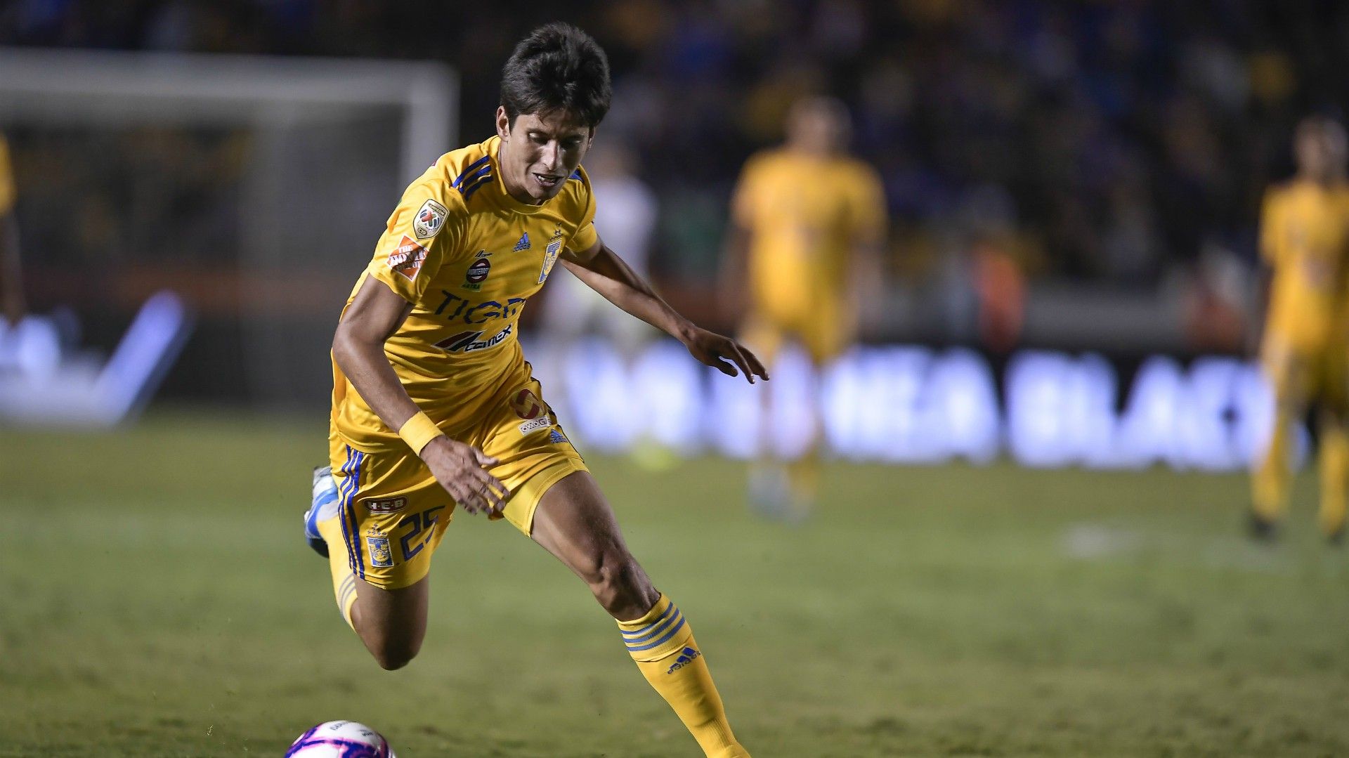 Jürgen Damm Tigres