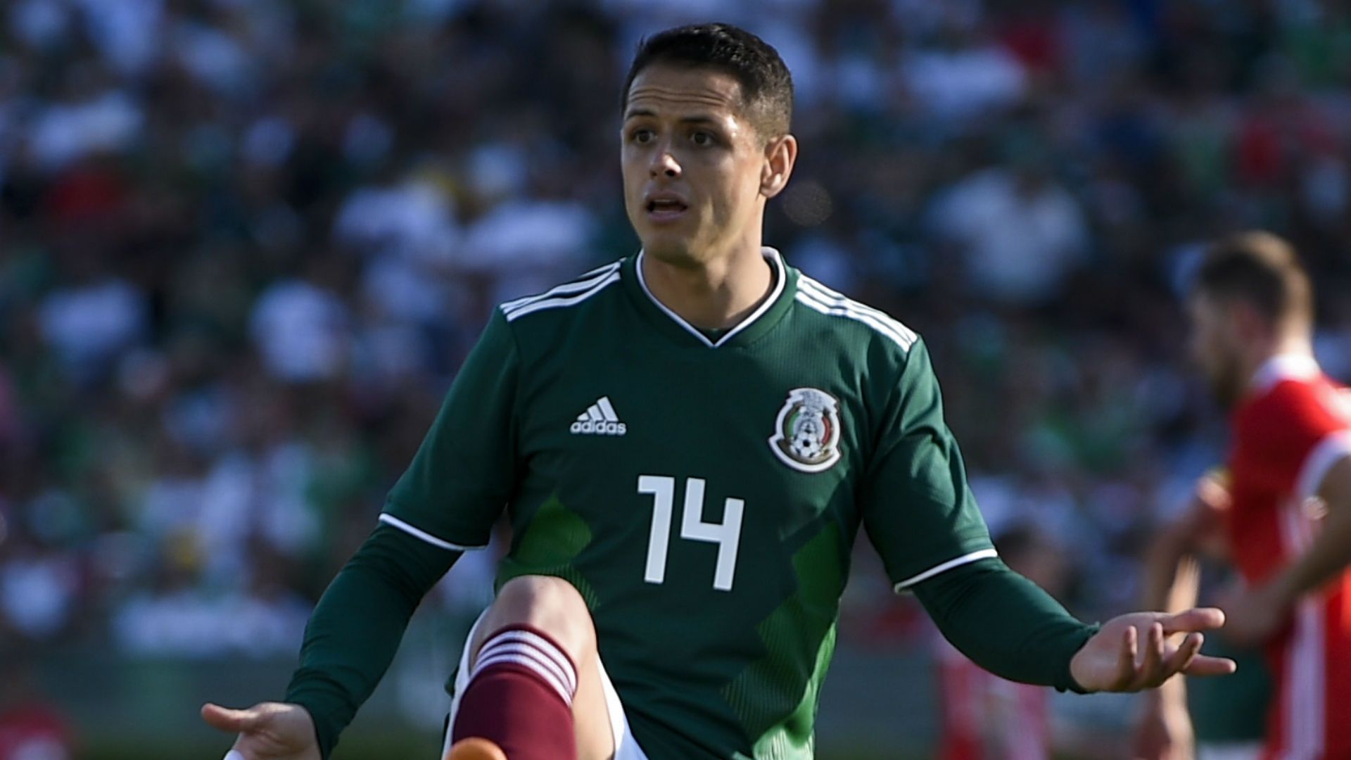 Javier Hernandez Mexico Wales