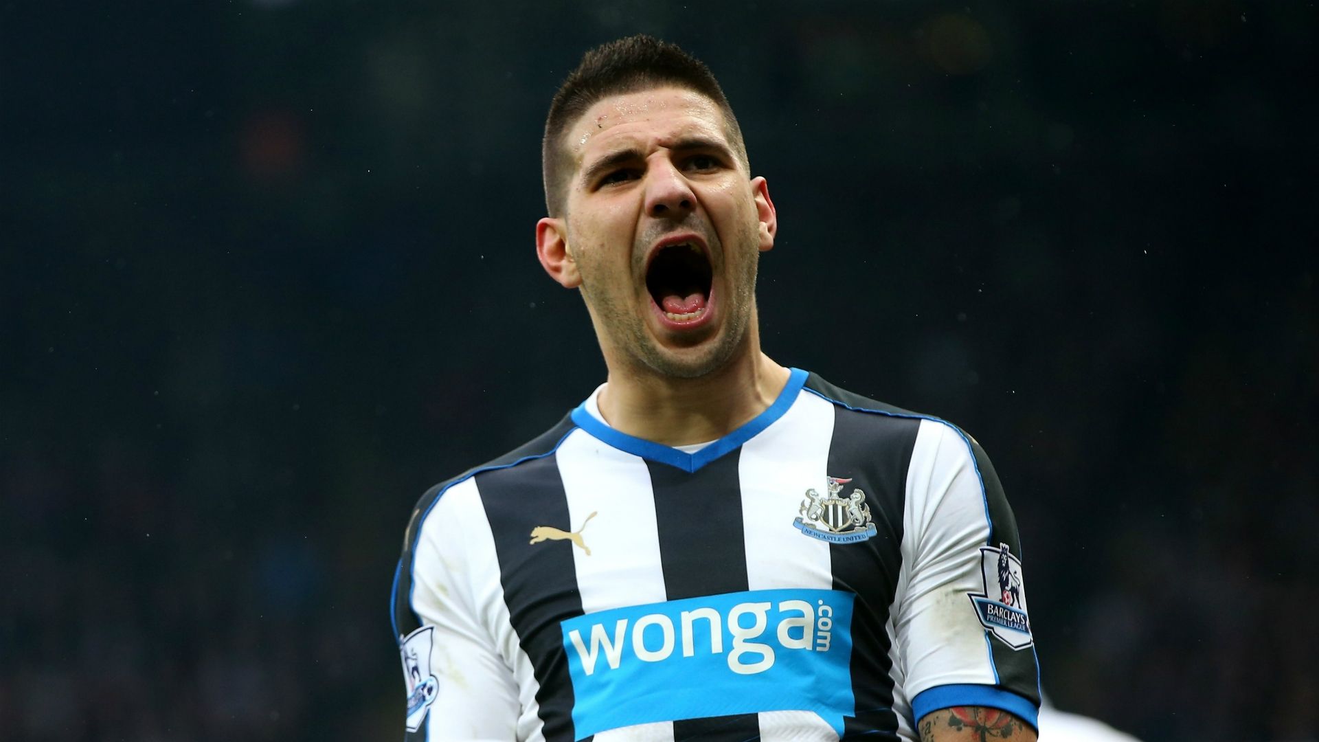 Newcastle | Aleksandar Mitrovic