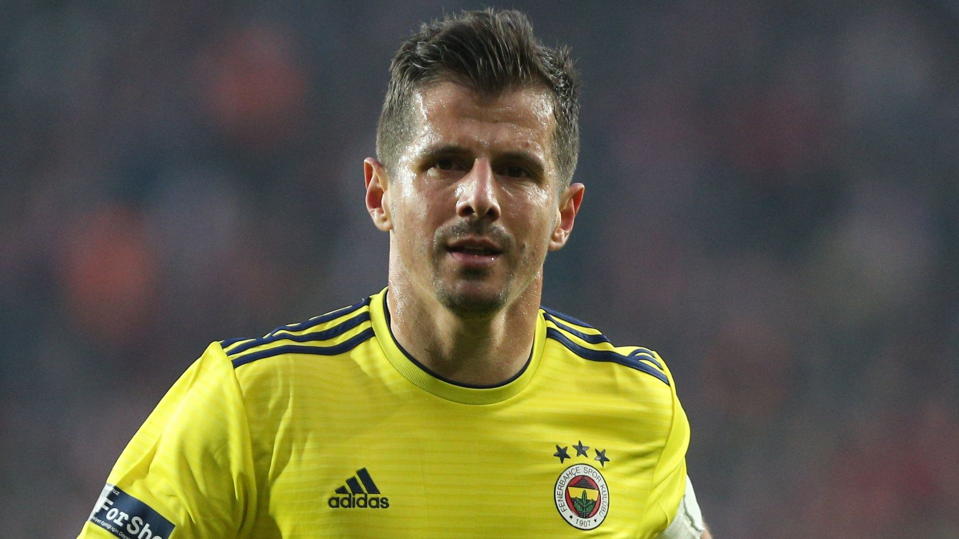 Emre Belozoglu Fenerbahce