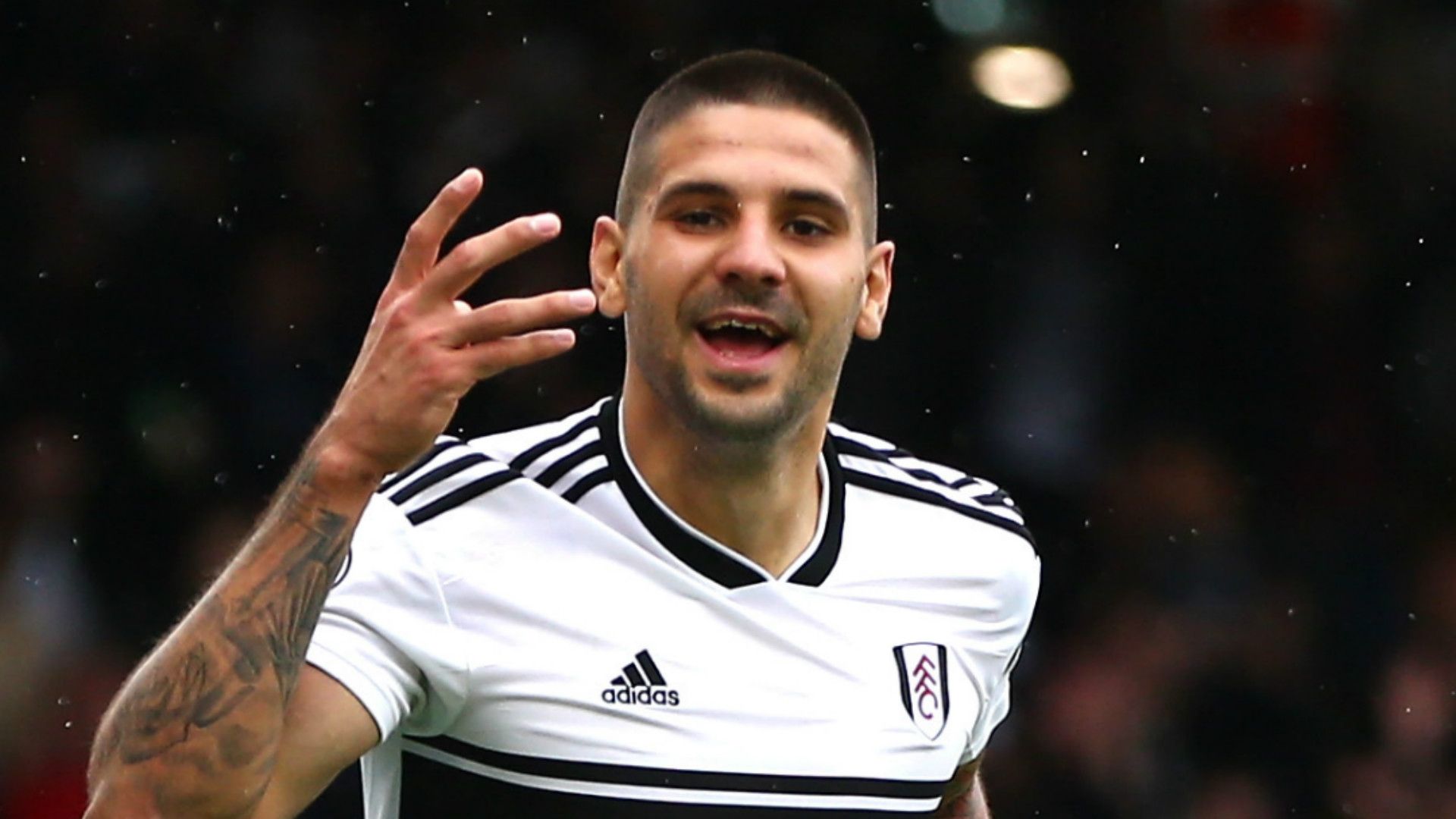 Aleksandar Mitrovic Fulham 2018-19