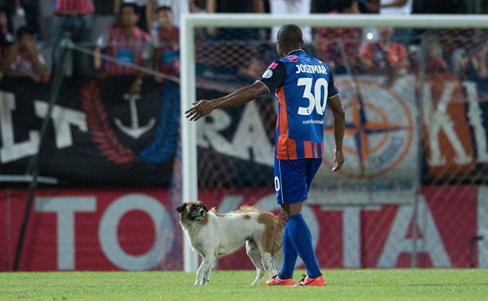 แฟนพันธุ์ทาง