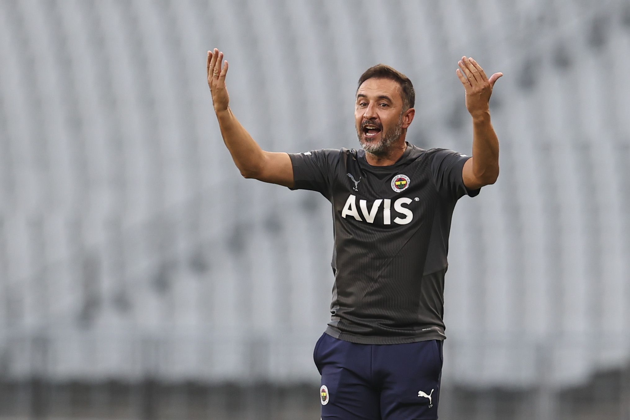 Vitor Pereira, Fenerbahce