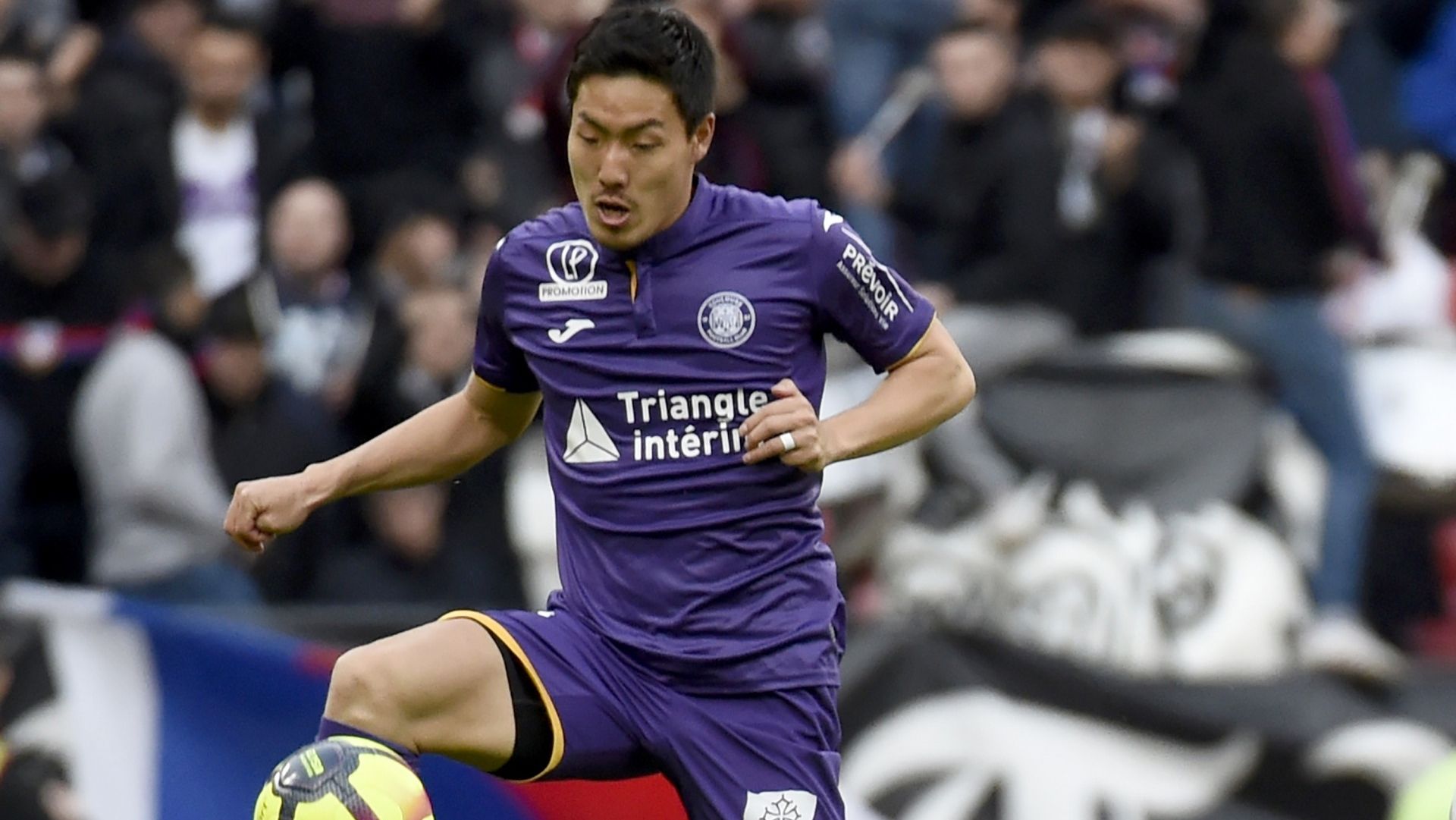 Toulouse_Shoji