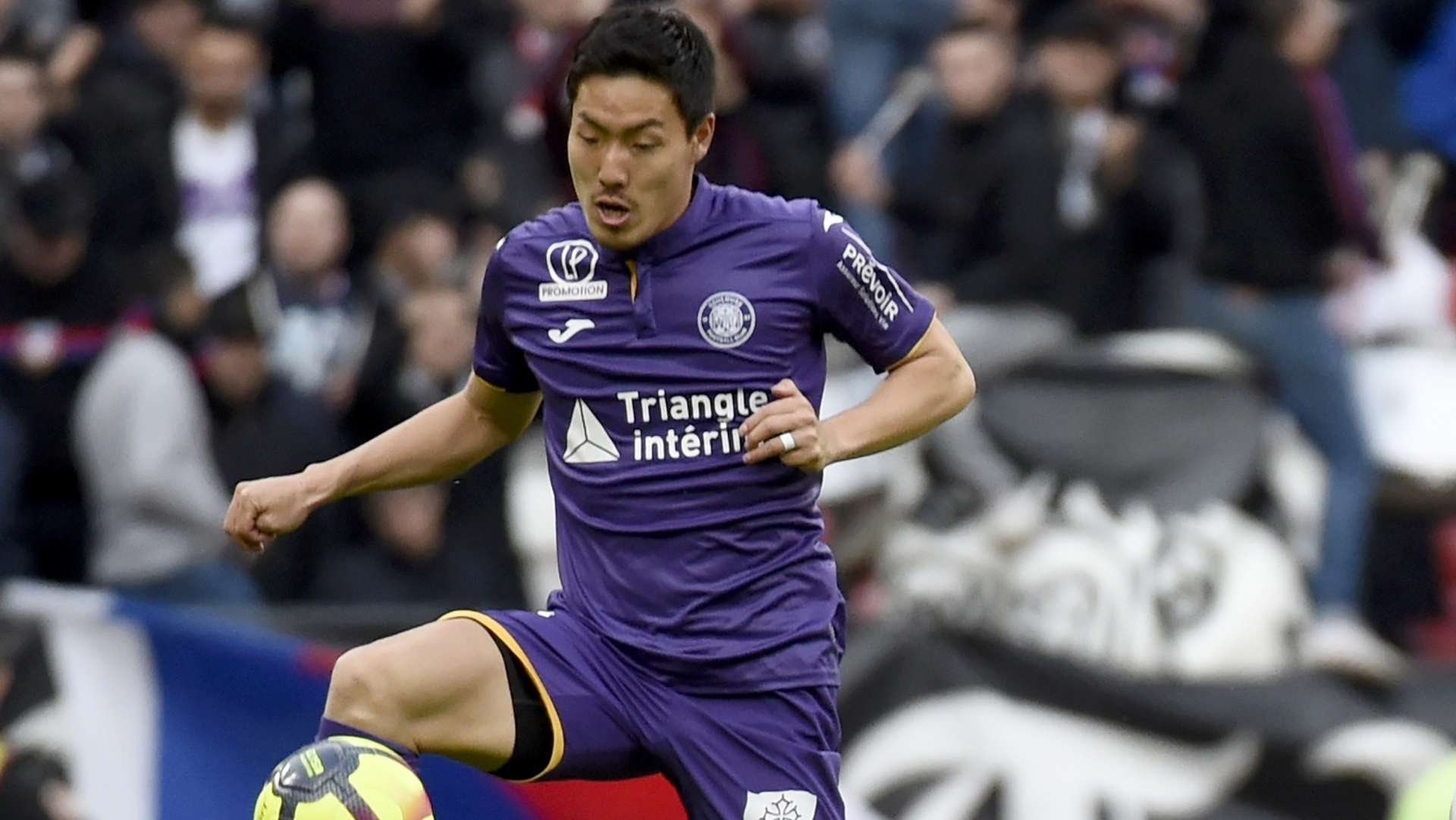 Toulouse_Shoji