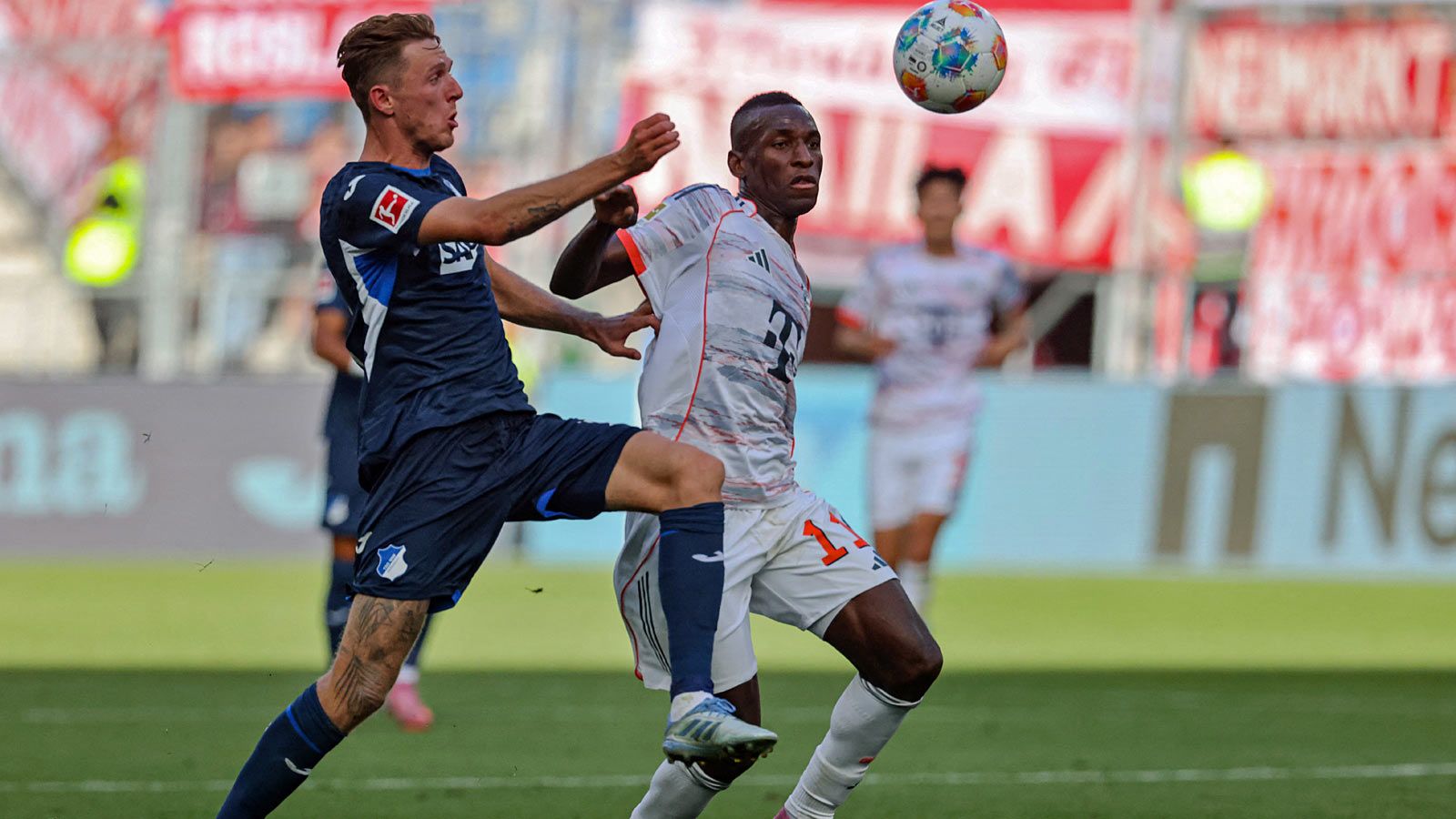 nicolas jackson bayern hoffenheim